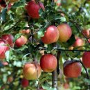 하나농자재 이미지