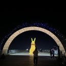 고령촌 | 대구 앞산 고령촌 돼지찌개 내 돈 내산 후기 주차 휴무