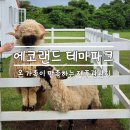 매정목장 | [조천] 에코랜드 테마파크 :: 조천 가볼만한 곳/ 제주 관광지/ 제주 아이와/ 곶자왈 숲/ 제주 야외관광지