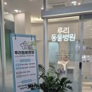 루리동물병원 이미지