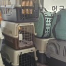 멍품유치원 이미지