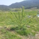 시목농장 이미지