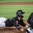 대전롯데 헤드 이미지