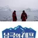 &#34;식자재 공수, 사전 조율했다&#34;…&#39;남극의 셰프&#39;, 빈손 촬영 해명 이미지