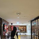 WEST SUN | 후쿠오카 Day 3 ✈️ 이치란 아침 라멘 — 캐널시티·텐진 쇼핑·로피아 초밥 후기