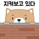 아이굿안경 네이버블로그