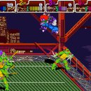 Ninja Turtle Teenage Mutant 이미지