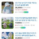 박월 | 2025 인천 펜타포트 락 페스티벌 🎸🤘🏻 2일권 티켓예매/준비물/라인업/굿즈/코디/푸드예약/꿀팁/후기