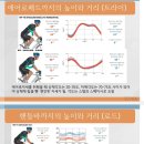 싸이클 피팅 후기(KTS 강승규 교수님) 이미지