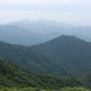 굿데이클리닉