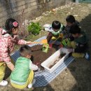 상산초교병설유치원 이미지