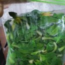 우빈농장 이미지