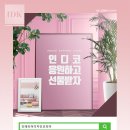새봄코리아 이미지