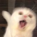 c.n.s pc방 | [홍대 방탈출] 어린 시절 향수(N)를 느끼고 싶으신 분께. 오아시스 방탈출 : 배드 타임 (BÆD TIME) 후기