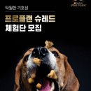 네슬레 퓨리나, 강아지 입맛 사로잡는 ‘프로플랜 슈레드’ 체험단 모집~~ 이미지