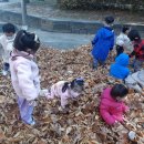 푸른금산어린이집 이미지