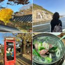 콧바람여행사 이미지
