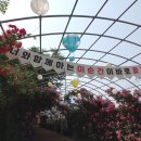 풍덕교옆 뚝방 이미지