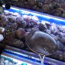 낭만조개 | 🌊 바다 뷰 보며 즐기는 무한리필 조개구이 — 당진 삽교호 맛집 “낭만조개구이” 방문 후기