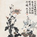 국화천 이미지