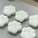 아르떼퍼피 이미지