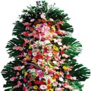 피자스쿨오전점 이미지