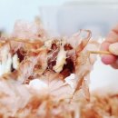 일산타코야끼+캔카페 | 일산타코야끼 캔카페