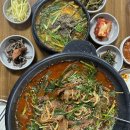 쌍둥이흑염소 이미지