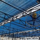 셀세모전주동부대로점 이미지