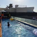 월정에비뉴풀빌라 | 제주도 월정에비뉴풀빌라 302호 솔직후기