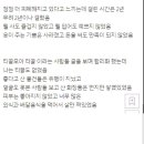욜로 Daum카페
