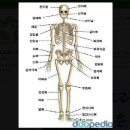 뼈에 생기는 악성종양 골육종의 증상과 치료법은? 이미지