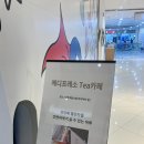 (주)티베리 | 부산 남포동 카페 추천 롯데백화점안의 휴식공간 “메디프레소 롯데광복점“