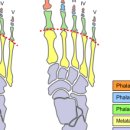 이재영한의원 이미지