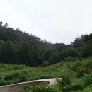 세풍중군간도로 이미지