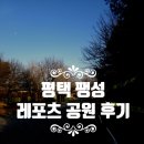 팽성레포츠공원 축구장 | 평택 팽성 레포츠 공원:풋살, 축구, 인라인, 배드민턴 하실 분
