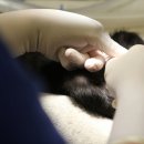참사랑 동물병원 이미지
