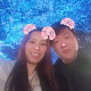 26.04.11.사우동 벚꽃길 이미지