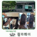 수양미용실 - 진주시 | 거제 미용실 추천 쁄라헤어 여자 커트머리 추천