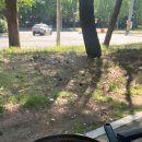 쉼터포장마차 이미지