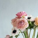 보테니컬 아트 이미지