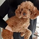 해양중학교 이미지