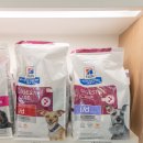 모코동물의료센터 이미지