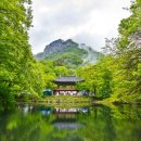 동산상회 이미지