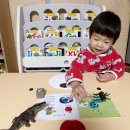 영어그림책과 알파벳 | 엄마표영어 래프어랏 알파벳 유아영어책 3세영어