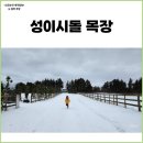 더 테쉬폰 | 제주 겨울 눈 명소 성이시돌목장 테쉬폰, 카페 우유부단