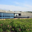 황금언덕 이미지