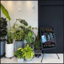 김성우우화외과의원 이미지