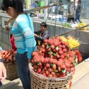 파란망고 이미지