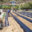 보개공인중개사사무소 | [전원주택/급매] 경기도 안성시 보개면 구사리 토지464평(평당180만) 급매매